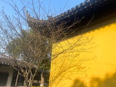 -常熟方塔园