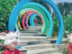 -天河儿童公园