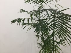 -浆木咖啡馆(湘子庙街店)