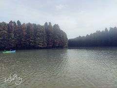 -上海海湾国家森林公园