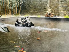 -天津海河悦榕庄·Lobby Lounge大堂吧