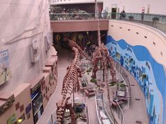 -陕西自然博物馆