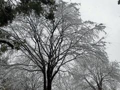 -堤角公园