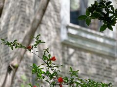 -颐和路民国时期公馆-风貌区