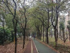 -仙湖旅游度假区