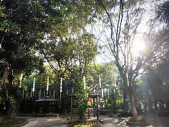 -揭东万竹园旅游景区