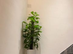 -麦子MaiMassage(打浦桥店)