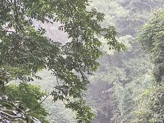 -青城山