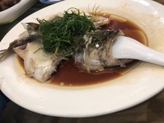 -五谷芳乳鸽王（大梅沙总店C区）(网红打卡店)