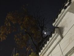 -南山渔宴