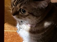 -H立方实景剧情密室(天河旗舰店)