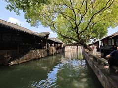 -乌镇东栅景区