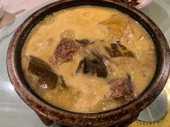 -食家鸽园
