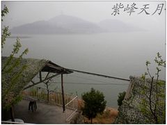 -望湖烤鱼