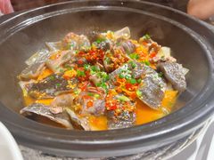 砂锅甲鱼-湘水谣(芙蓉店)