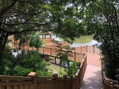 -大湾区中央湿地公园