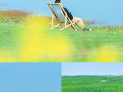 -洪湖湿地生态园