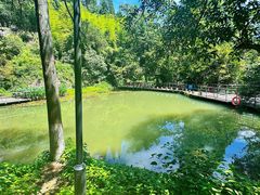 -莫干山风景区