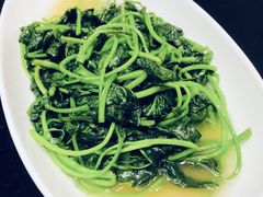 芥兰苗-独一处·物新集市(红谷滩店)