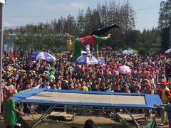 -上海长兴岛郊野公园