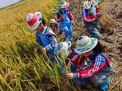 -华英星辰幼儿园(二马路分园)