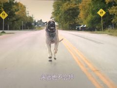 -万象影城(杭州萧山万象汇店)