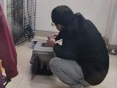 -瑞派福兴宠物医院犬猫全科·骨科·中西医结合(河东店)