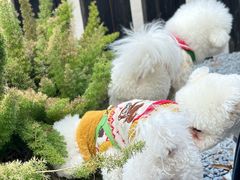 -J Create城市露营咖啡·简餐·宠物(上海动物园店)