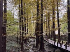 -国家植物园南园