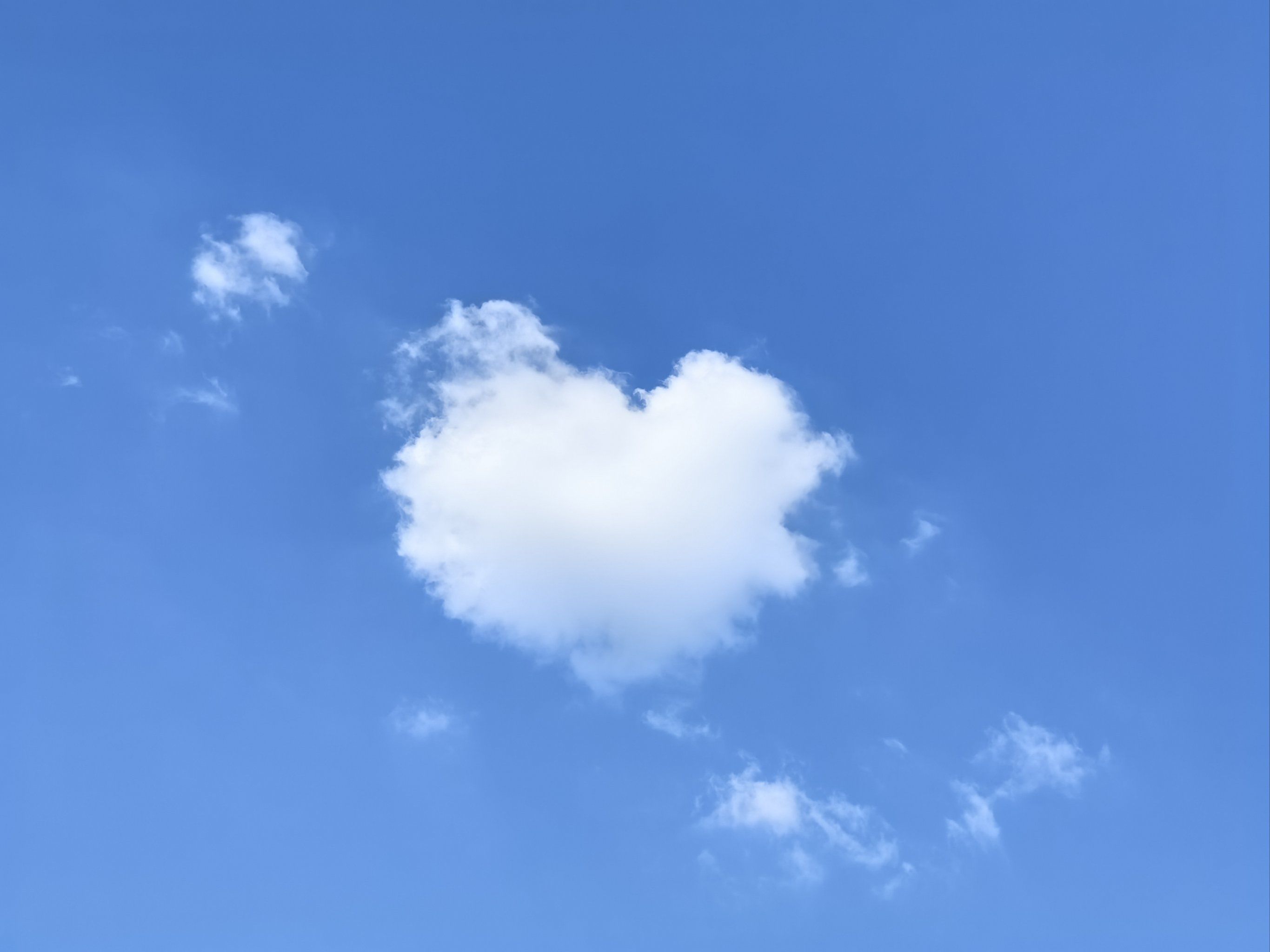 送你一朵心形云朵☁️还有中国大公鸡地图