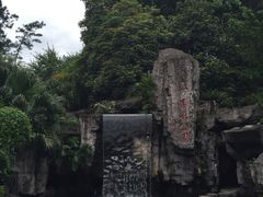 -广州市流溪河国家森林公园