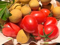 -季季山·云南野生菌火锅(上海首店)