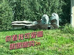 -北京野生动物园