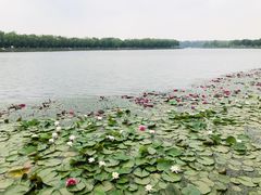 -素心小筑(后沙裕镇店)