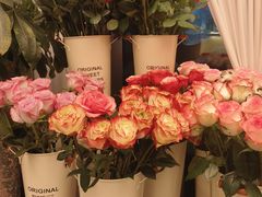 -龟兹KUCINA·新疆菜(前滩L+PLAZA店)