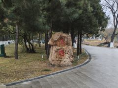 -北陵公园