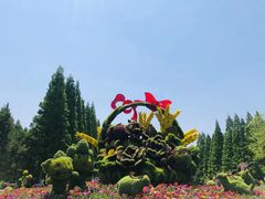 -东平国家森林公园