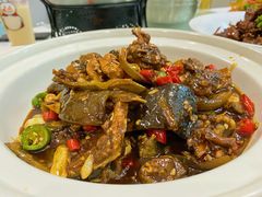 特色甲鱼-英子家庭菜馆(系马桩店)