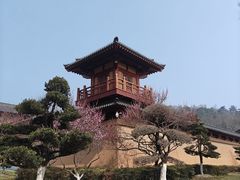 -习家池