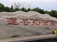 -莲花池公园