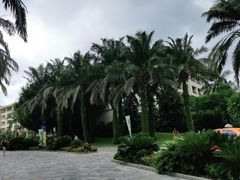 -三亚亚龙湾天域度假酒店