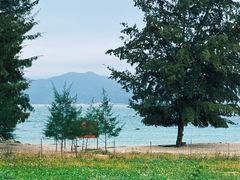 -花海间·即刻露营
