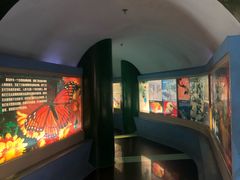 -上海昆虫博物馆