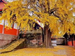 -金堂县云顶石城风景区