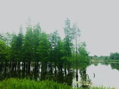 -白鹭湾湿地公园