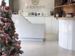 -关爱宠物医院·猫科中心·消化科(滨湖万达分院)