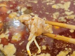 -中和远东火锅兔(老店)