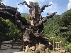 -龙湾潭国家森林公园