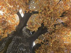 -青水瓦台汤泉(未央店)