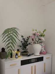 -WENDY·温迪皮肤管理